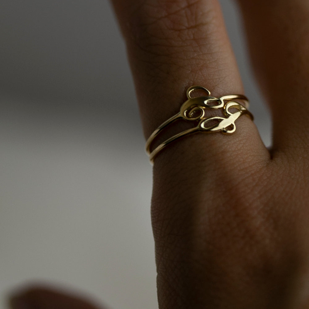 Initial rings