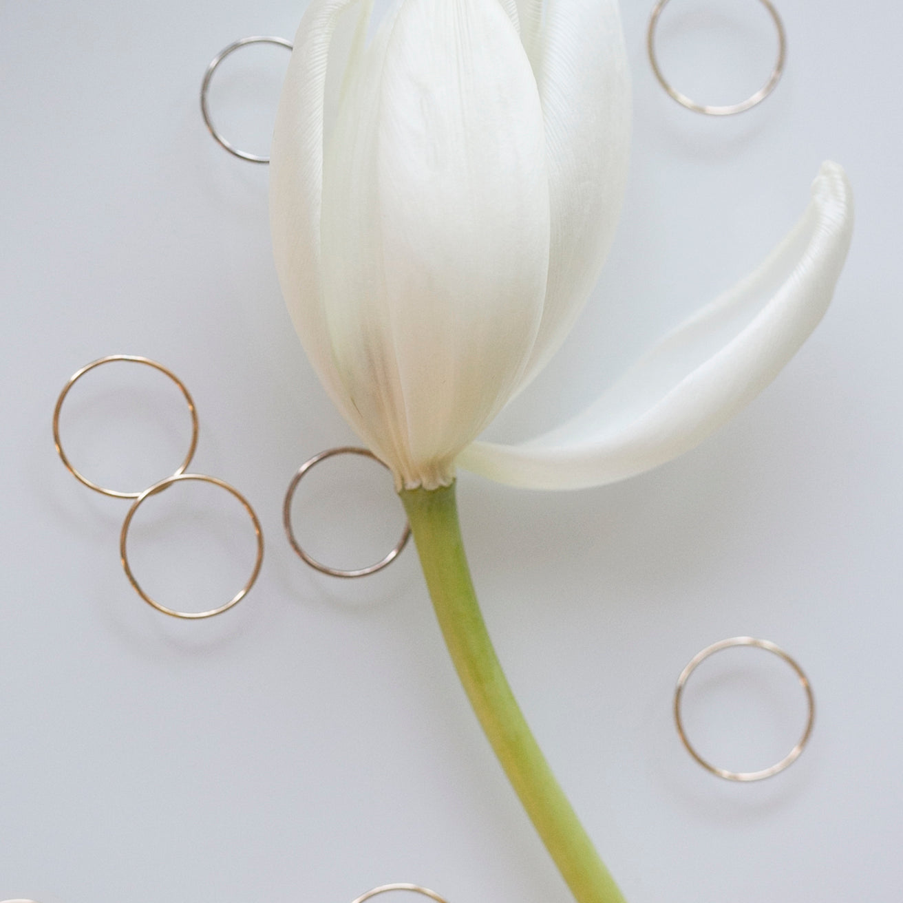 Ring picture