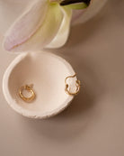 hoop earrings