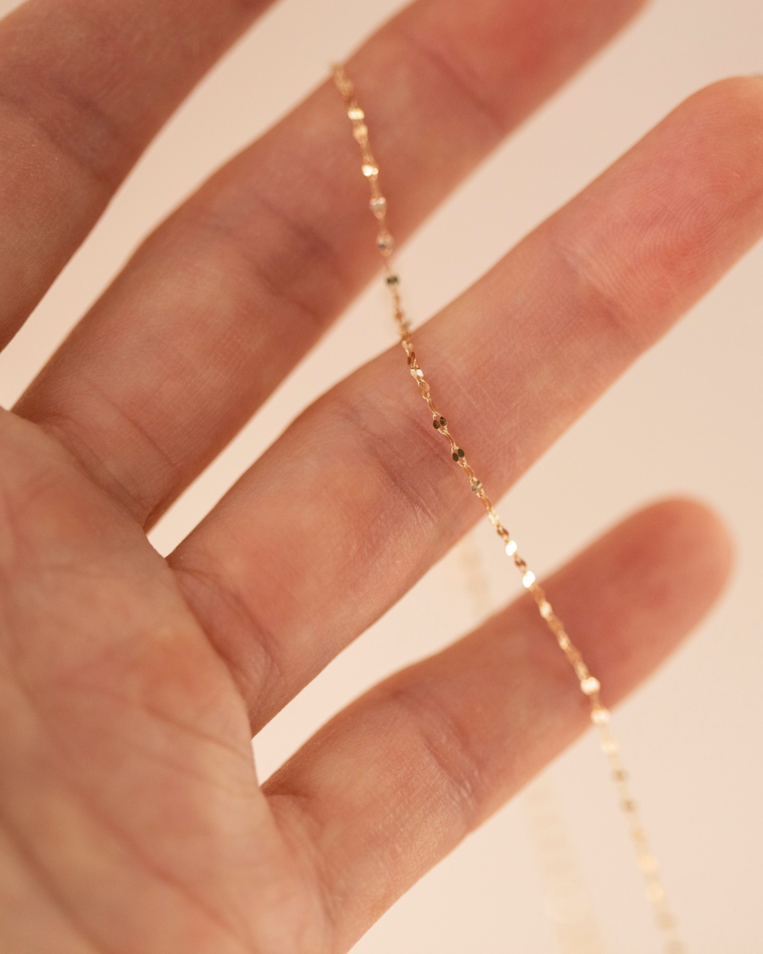 delicate shinny chain 